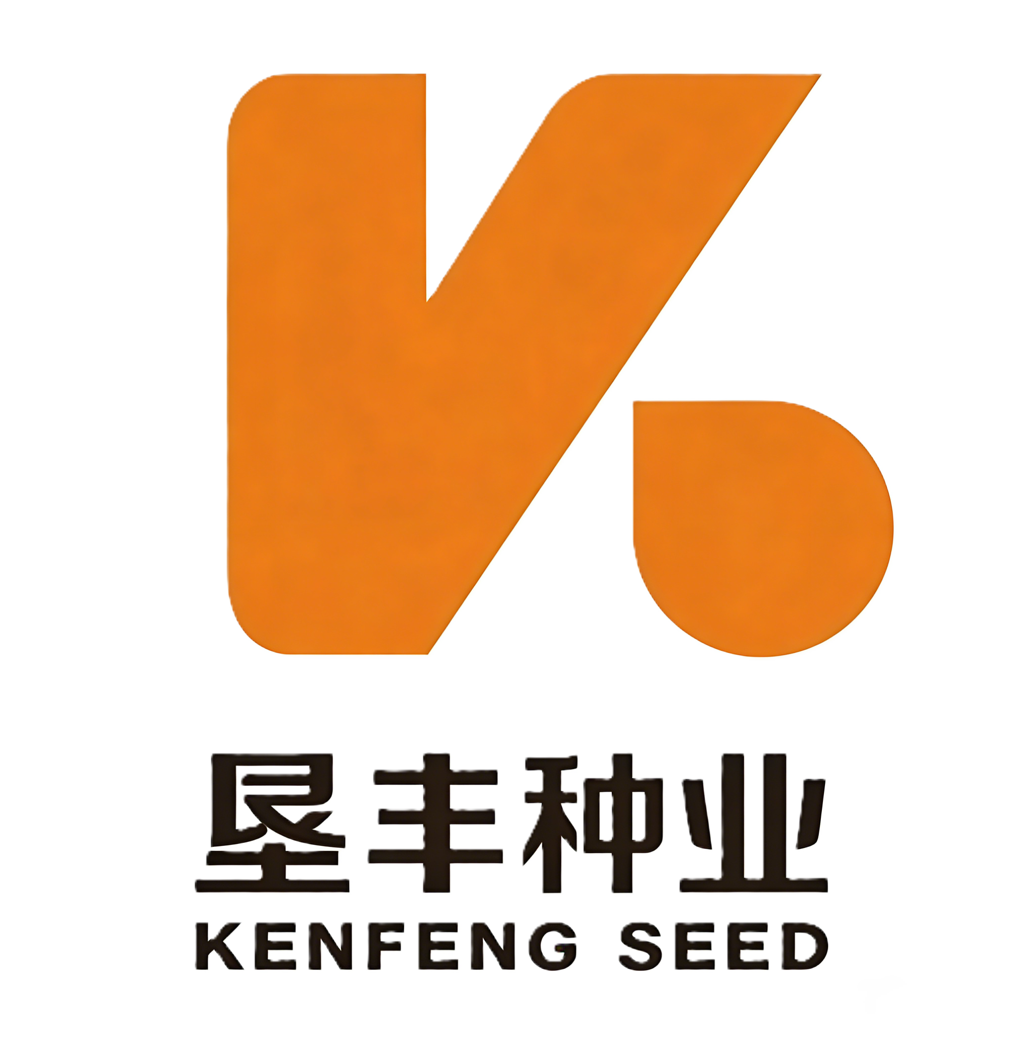 垦丰种业