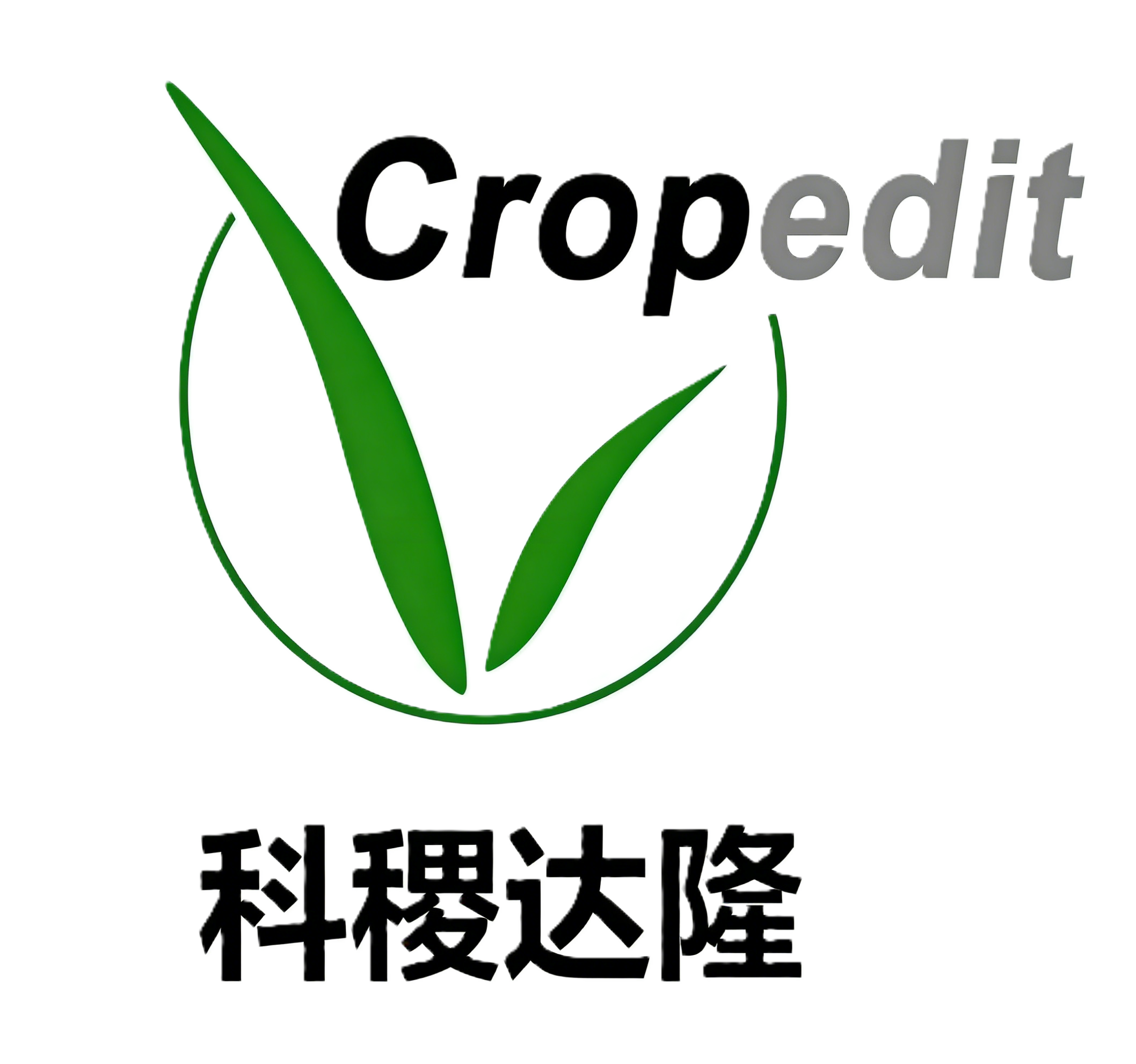 科稷达隆