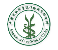 中国农业科学院作物科学研究所