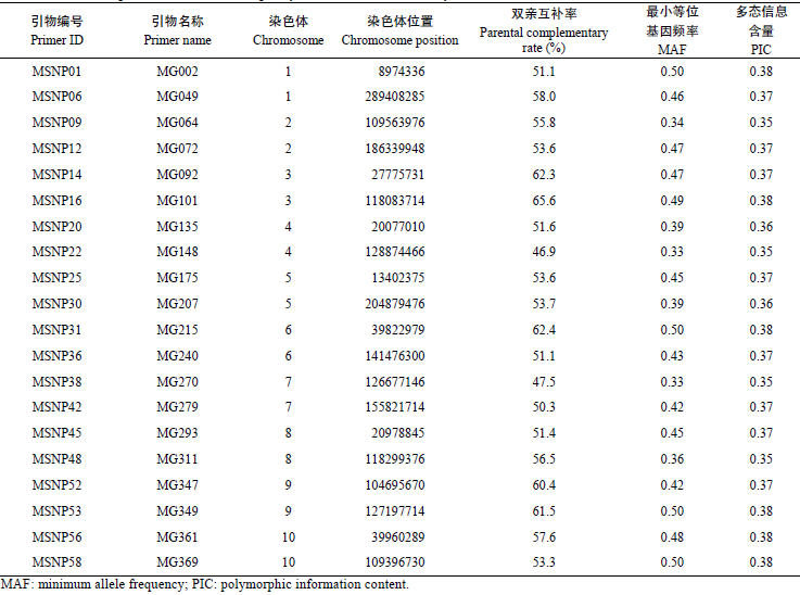 1766713121935497.png 图片17.png