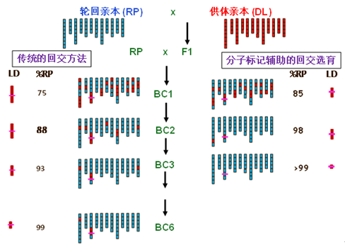 1773989367312073.png 640 (2).png
