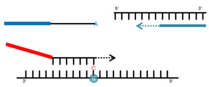 1773989949106138.png 640 (1).png