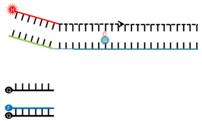 1773989962442549.png 640 (3).png