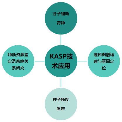 1773989979497052.png 640 (5).png