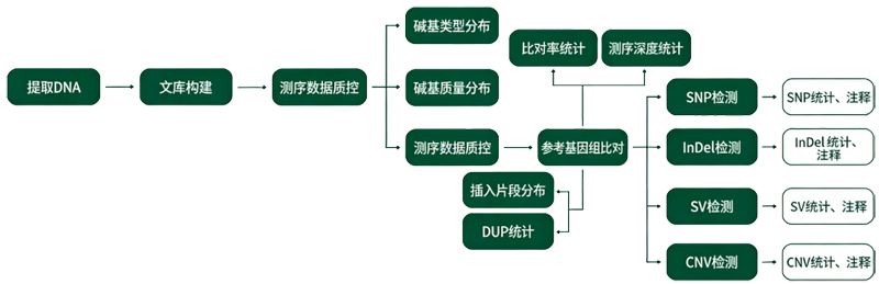 liucheng.png