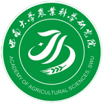 1781658023636972.png xn-logo.png